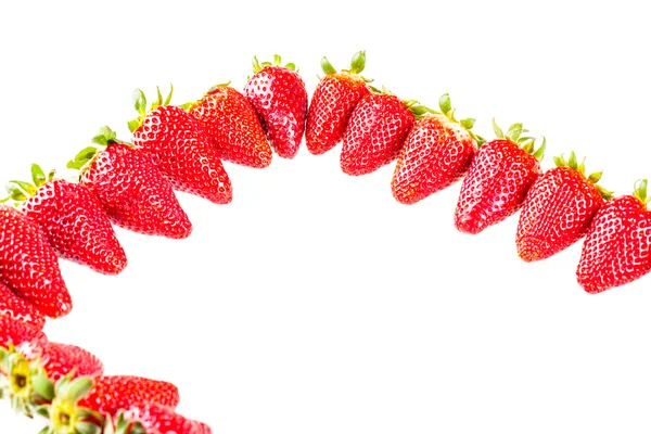 Fraises arrangées — Photo