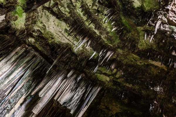 Cave ceiling — Stock Photo, Image