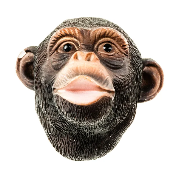 Mono cabeza — Foto de Stock