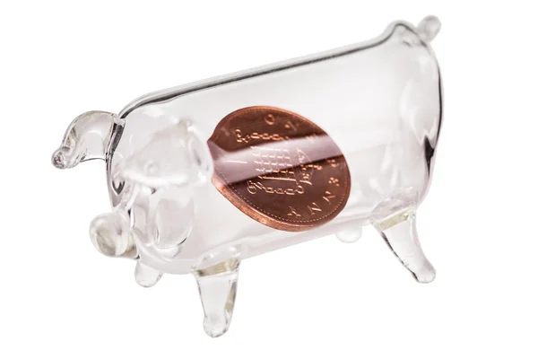 Kleine piggy bank — Stockfoto