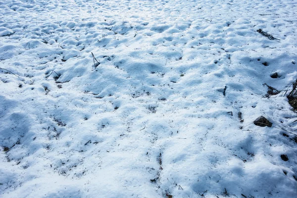 Snö — Stockfoto