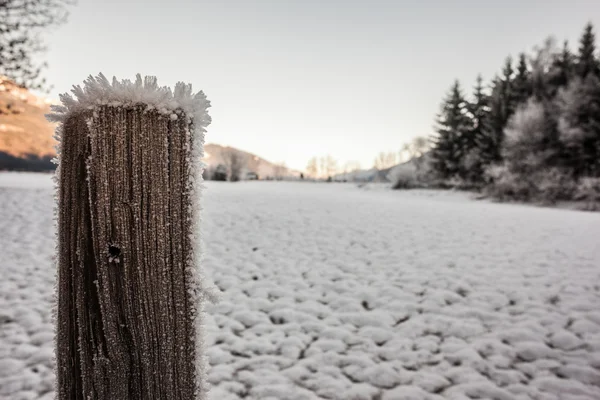 Hoary morning — Stock Photo, Image