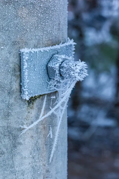 冷凍 web — ストック写真
