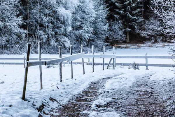 Invierno — Foto de Stock