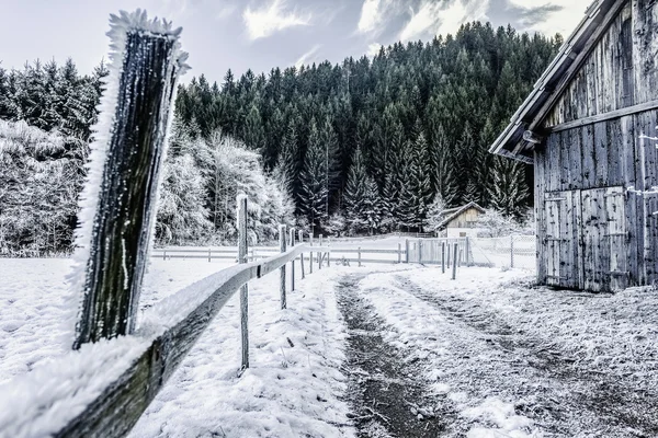 Invierno realmente frío — Foto de Stock