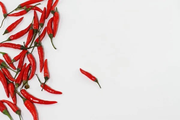 Manojo Chile Rojo Fresco Crudo Sobre Blanco — Foto de Stock