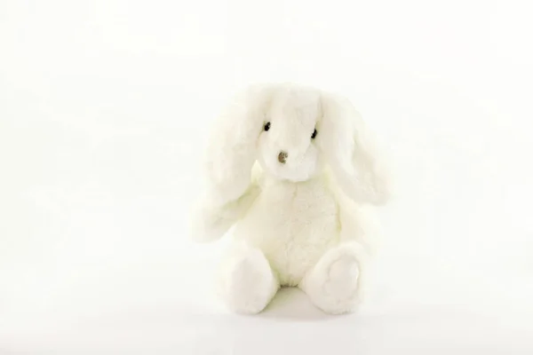 Beyaz doldurulmuş tavşan oyuncağı, tüylü tavşan