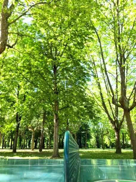 Ping Pong Table Tennis Open Air Game — Stock Video