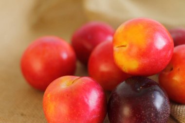 Çuval bezinde doğal kırmızı erikler