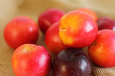 Çuval bezinde doğal kırmızı erikler