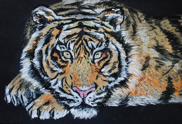 Pintoresco Retrato Tigre Ilustración Pastel — Foto de Stock