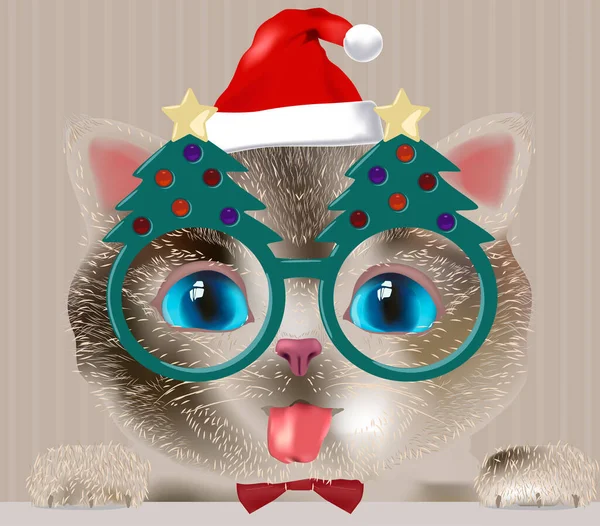 Niedliches Kätzchen Weihnachtsgläsern Mit Weihnachtsbäumen Und Weihnachtsmütze — Stockfoto