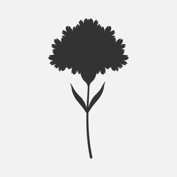 Black Carnation Flower Plant Isolated Flat Design Vector Illustration White — Stock Vector