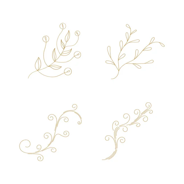 Set Von Handgezeichneten Blatt Zweigblume Mit Unterschiedlicher Form Auf Weißem — Stockvektor