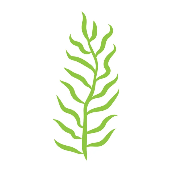 Planta Verde Frondosa Con Ilustración Vectorial Aislada Arte Decorativo Sobre — Vector de stock