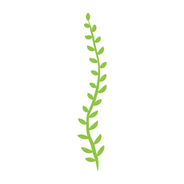 Planta Verde Frondosa Con Ilustración Vectorial Aislada Arte Decorativo Sobre — Vector de stock