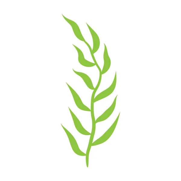 Plante Feuillue Verte Avec Illustration Vectorielle Isolée Art Décoratif Sur — Image vectorielle