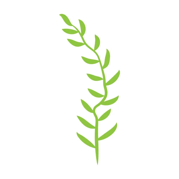 Plante Feuillue Verte Avec Illustration Vectorielle Isolée Art Décoratif Sur — Image vectorielle