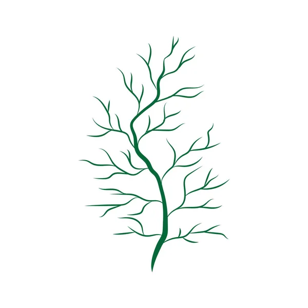 Plante Branche Verte Avec Illustration Vectorielle Isolée Art Décoratif Sur — Image vectorielle