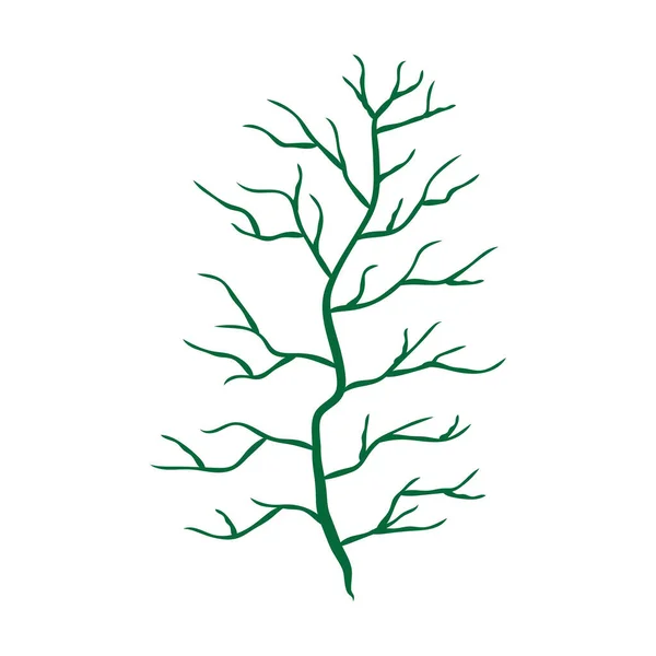 Plante Branche Verte Avec Illustration Vectorielle Isolée Art Décoratif Sur — Image vectorielle