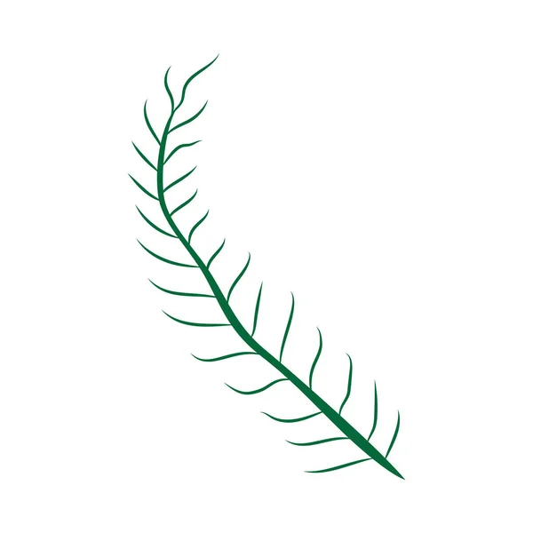 Plante Feuillue Verte Avec Illustration Vectorielle Isolée Art Décoratif Sur — Image vectorielle