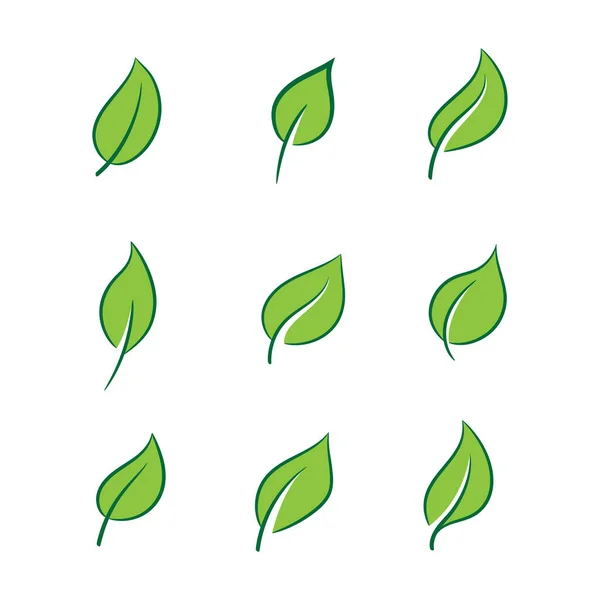 Icono Hoja Conjunto Ecología Elemento Naturaleza Hojas Verdes Medio Ambiente — Vector de stock