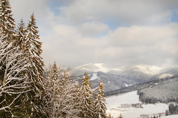 Beautiful winter landscape in the mountains. Ski resort, trees covered with snow — Stock Photo, Image
