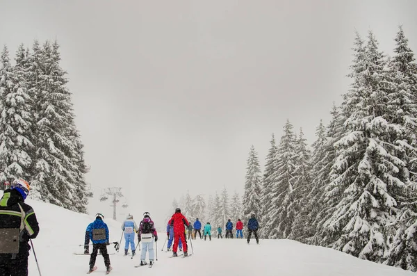 A group of skiers go down the ski slopes in the snowy mountains. Active winter sports — Stock Photo, Image