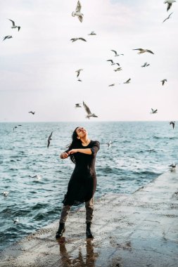 Siyahlı kız, kollarını güneşe açmış iskelede duruyor ve rüzgar ilham, güç ve ruh martılarının iç huzurunu alıyor. Hayatın zorluklarına ve fırsatlarına açık