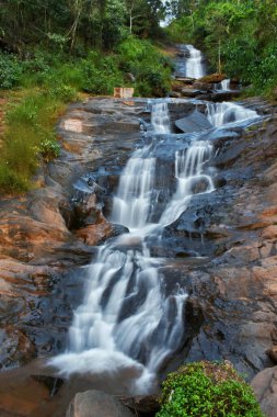Kudlu Theertha Şelalesi Udupi bölgesindeki Batı Ghat ormanlarının ortasında yer almaktadır ve Sita, Shantigrama, Karnataka, Hindistan 'ın ilk su düşüşü olarak tanınmaktadır.