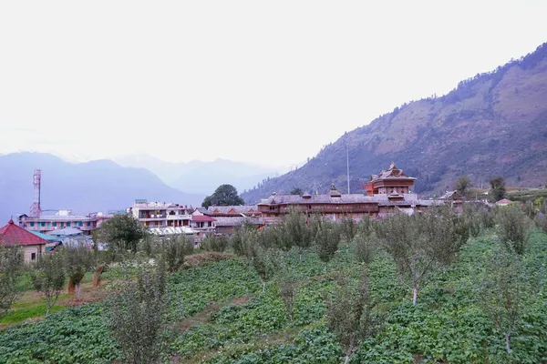 Tempio Shri Bhima Kali Sarahan Himachal Pradesh India Dedicato Alla — Foto Stock