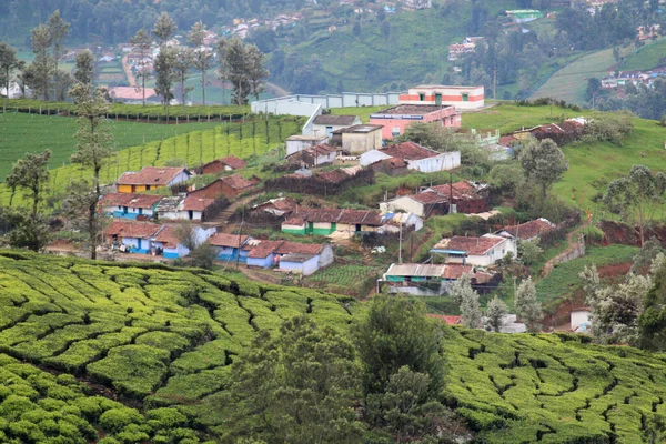 Hill Οικισμοί Στο Κτήμα Τσαγιού Ooty Tamil Nadu Ινδία — Φωτογραφία Αρχείου