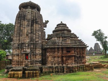 Sukasari Tapınağı 'nın yan cephesi, Bhubaneswar, Odisha, Hindistan. Kum taşından yapılmış insan figürleri, tanrılar, parşömen işleri ve duvarlara çiçek motifleri kazınmış..