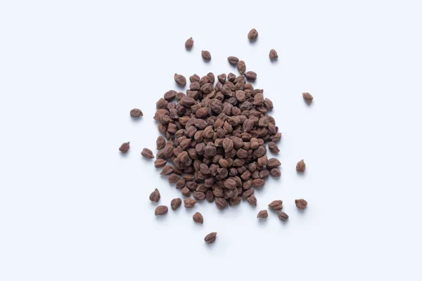 ひよこ豆またはひよこ豆 チッカー アリエトリウム サタラ マハラシュトラ州 インド — ストック写真