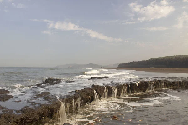 Пляж Веласа Відомий Черепаха Олів Рідлі Росте Західному Узбережжі Індії — стокове фото