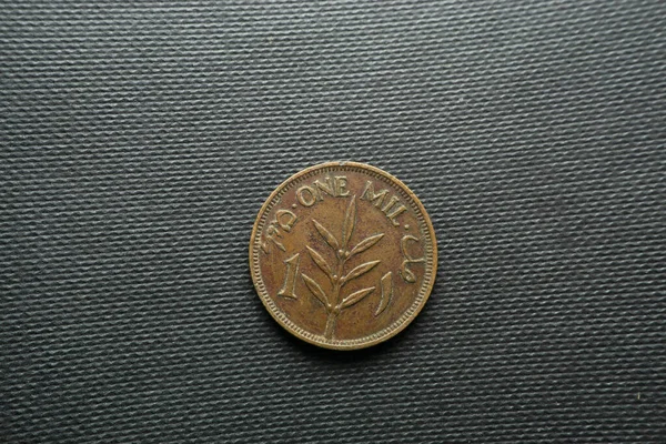 Mil Coin Palestine Vue Face 1937 Bronze — Photo