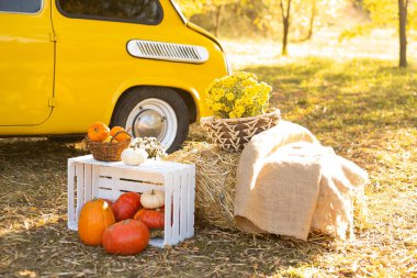 Sonbahar parkında sarı arabanın yanında çiçek ve balkabağı sepeti.