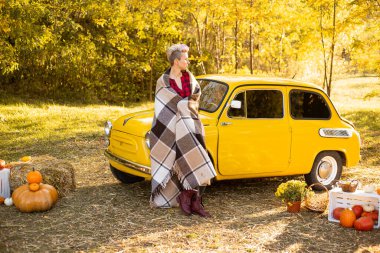 Sarı retro arabanın yanındaki battaniyeye sarılı kısa saçlı kadın. Sonbahar çiçeklerinin arka planında altın ağaçlarla birlikte.