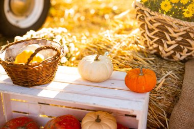 Sonbahar hasat sepeti Sonbahar parkında çiçekler ve balkabaklarıyla