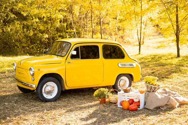 Amarelo Retro Carro Outono Parque Fundo Com Flores Abóboras — Fotografia de Stock