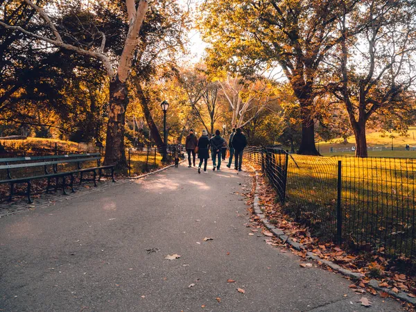 Central Park Moments Dia Ensolarado Nova York — Fotografia de Stock