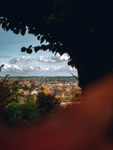 Tree Framing Scene Buildings Distance — Fotografia de Stock