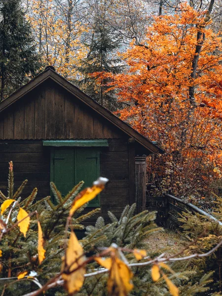 Wooden Hut Green Shutters Autumn Trees — Photo