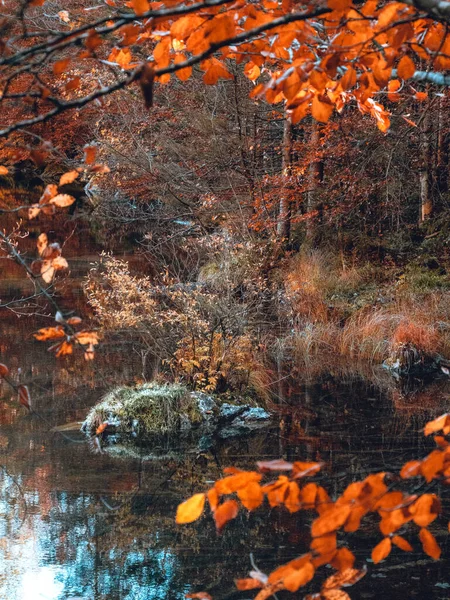Nature Perfection Autumn Lake — Stok fotoğraf