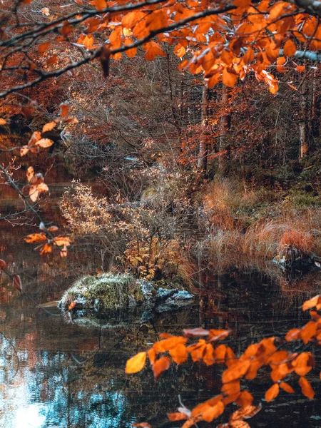 Nature perfection in Autumn at the lake