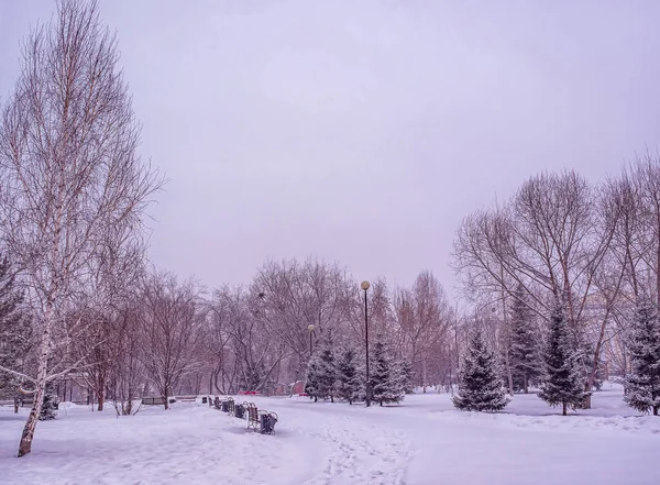 City Park Snow Winter Cityscape Snowing — Stok fotoğraf