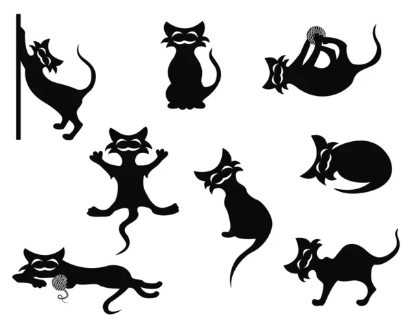 Cats silhouette — Stock Vector