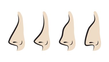 Vector illustration of noses clipart