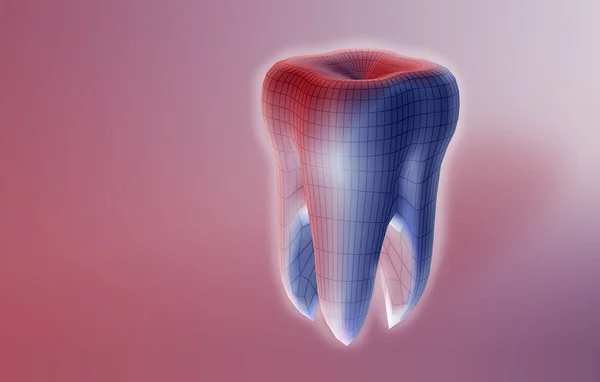 Dente molare — Foto Stock