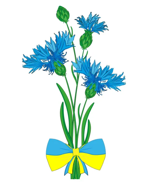  Vektör illüstrasyon Cornflower Ukrayna buketi